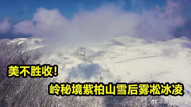 孤独的流浪者救援
